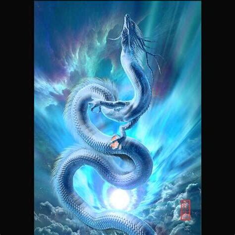 青龍 白龍 玄武